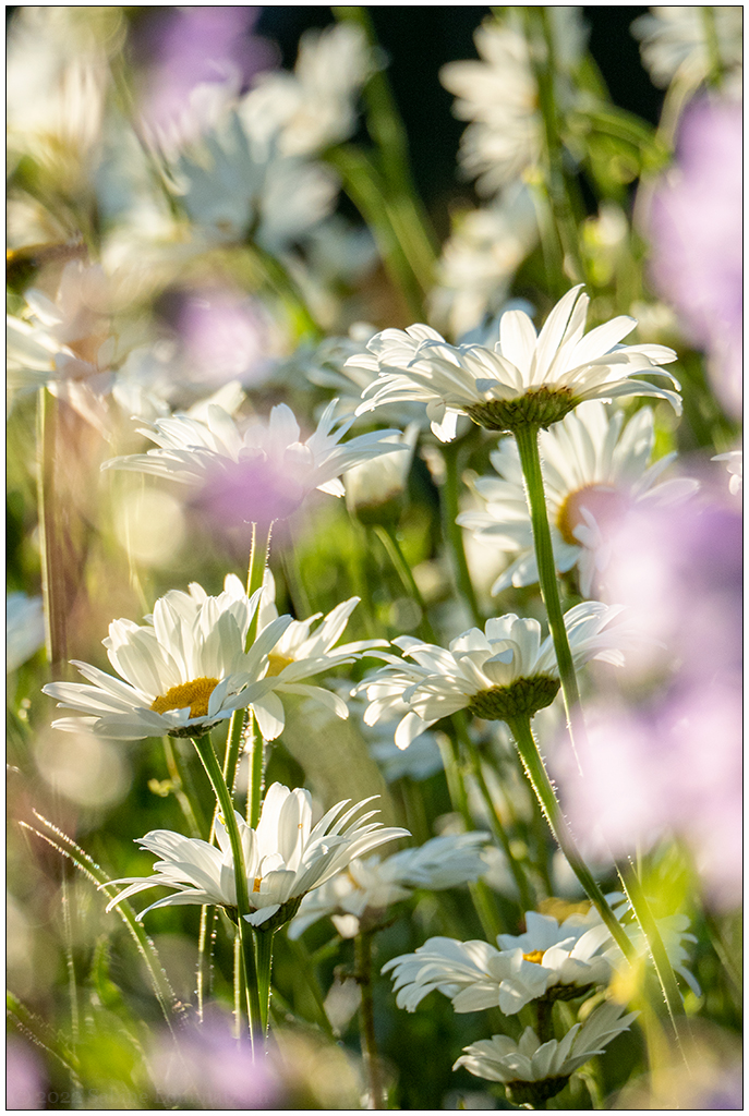 full