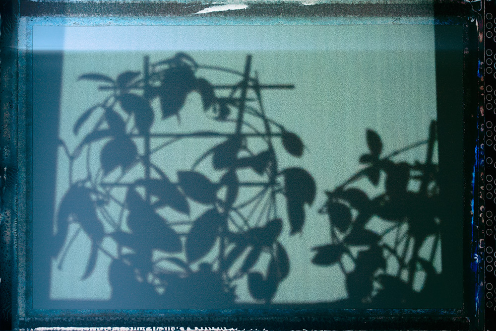 327/365