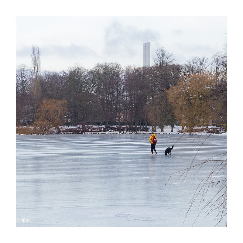 33/365 Soccer Mommy – M © 2026 Sabine Lommatzsch