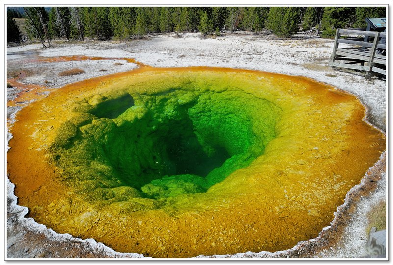 #33 Morning Glory Pool