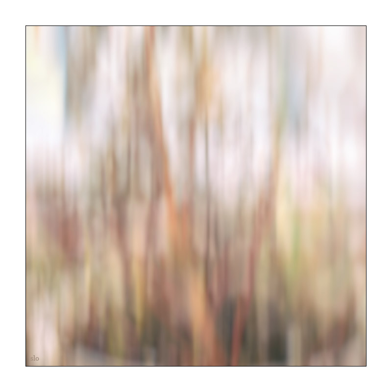 34/365