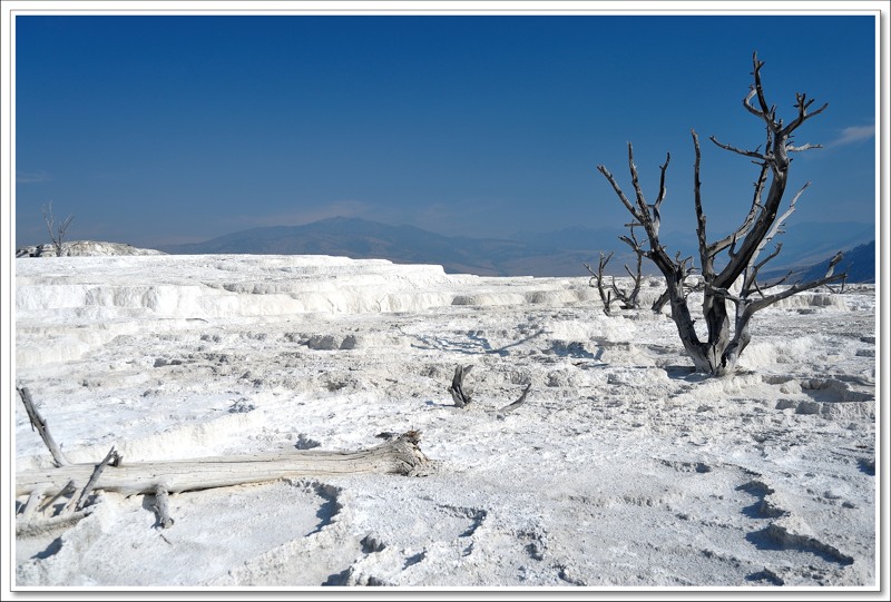 #34 Mammoth Hot Springs