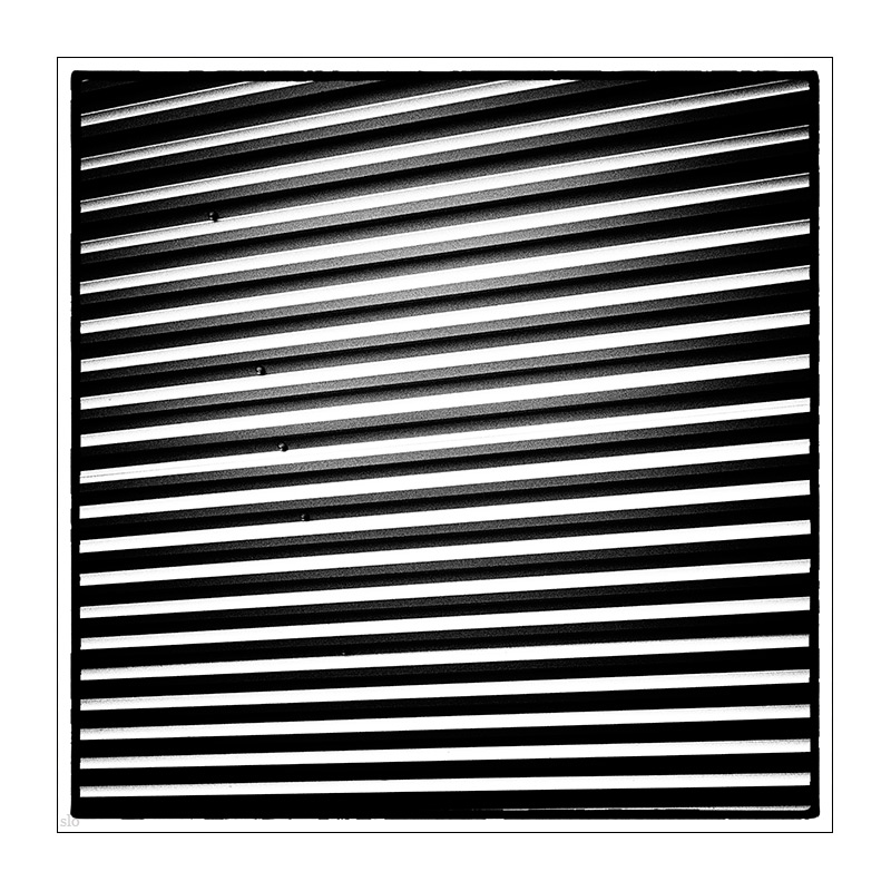 346/365