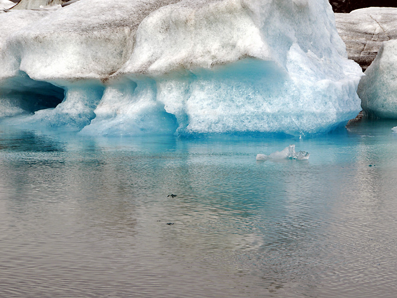 35 Eissee