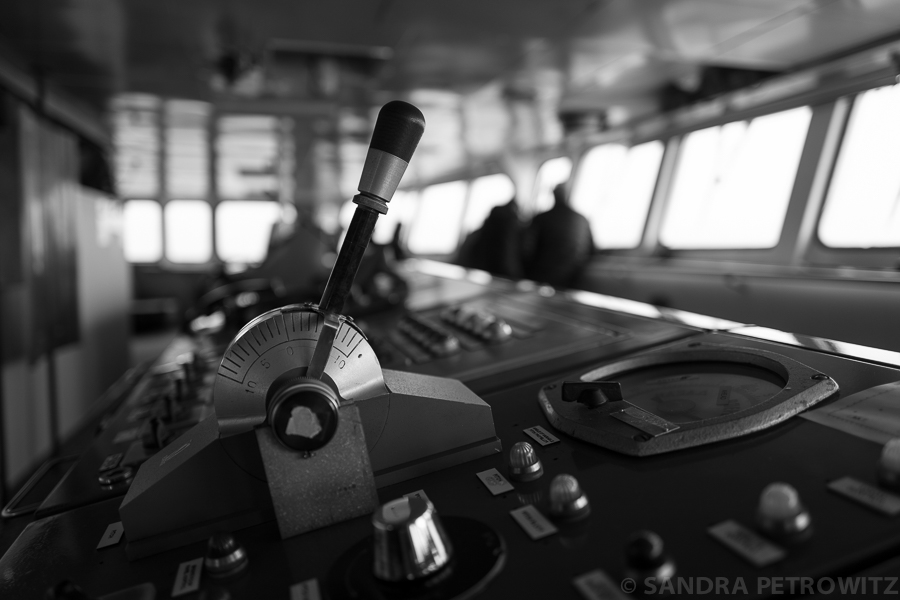 35 L1010478