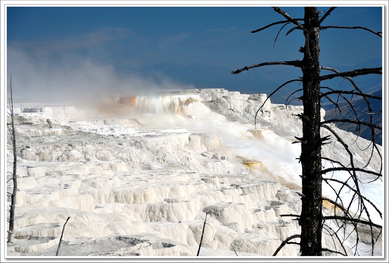 #35 Mammoth Hot Springs