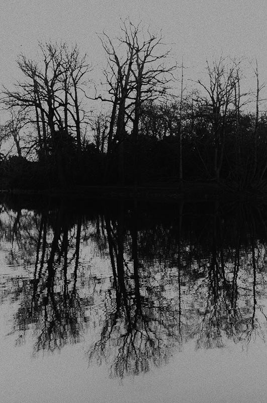 35 mm 1 4