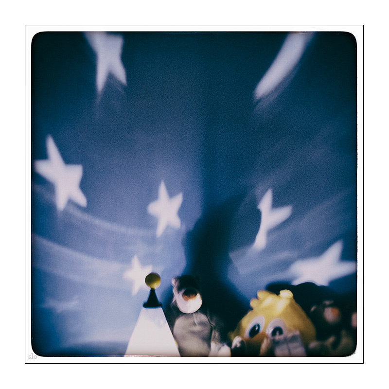 355/365