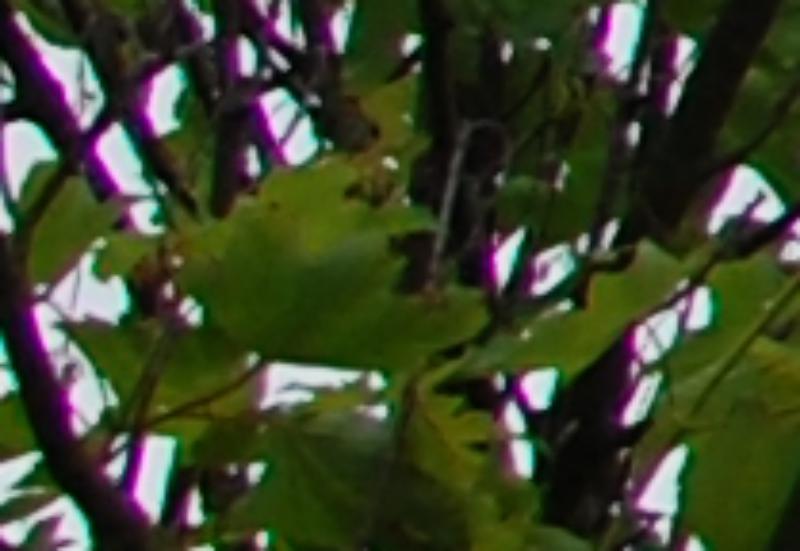 35crop