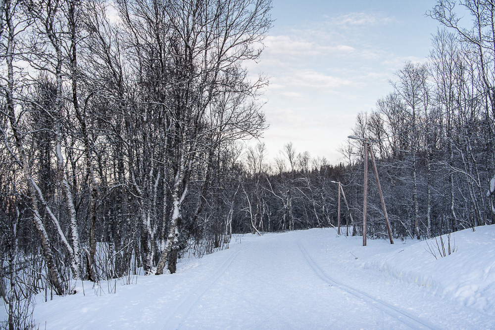 36 Tromso LLL