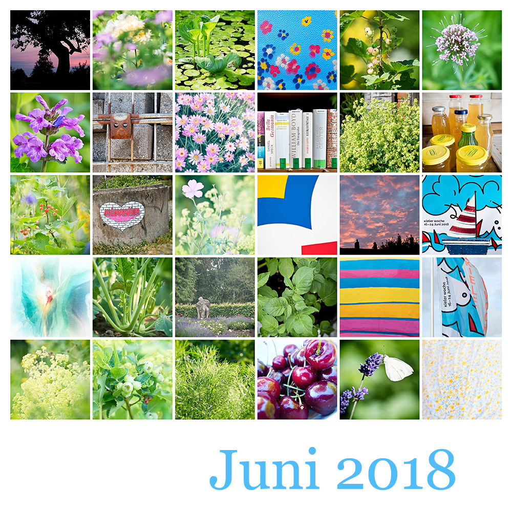 365-Tage-Projekt Mosaik Juni 2018