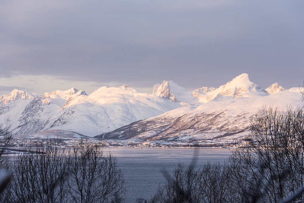 37 Kaldfjorden