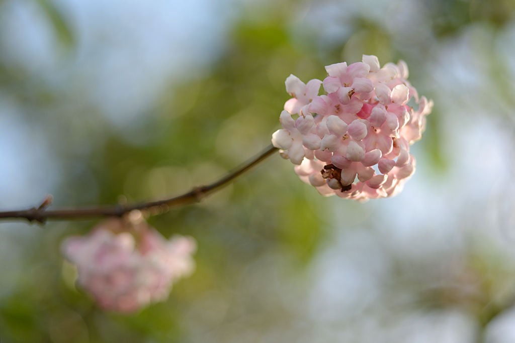 371024frühling