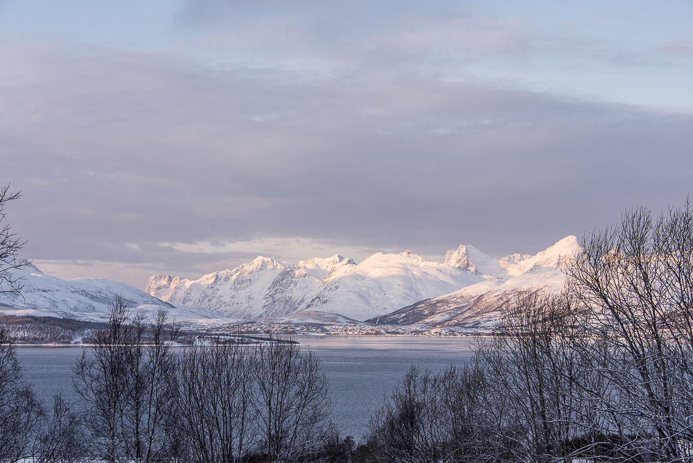 38 Kaldfjorden Hakoya