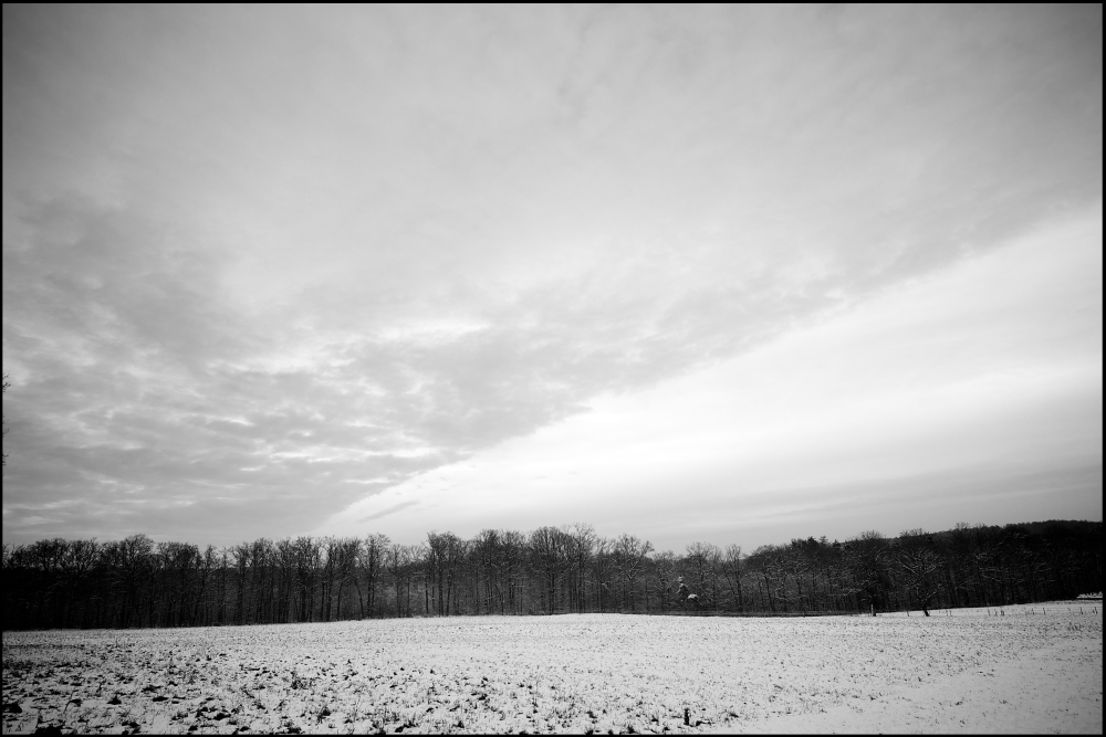 (3NFF)D3S 0151