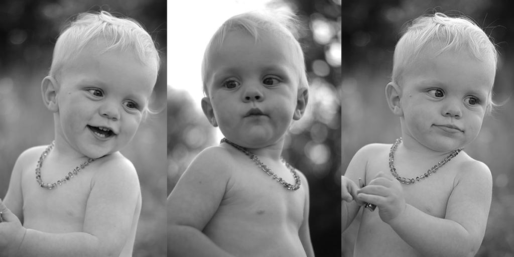 3x Leonardo