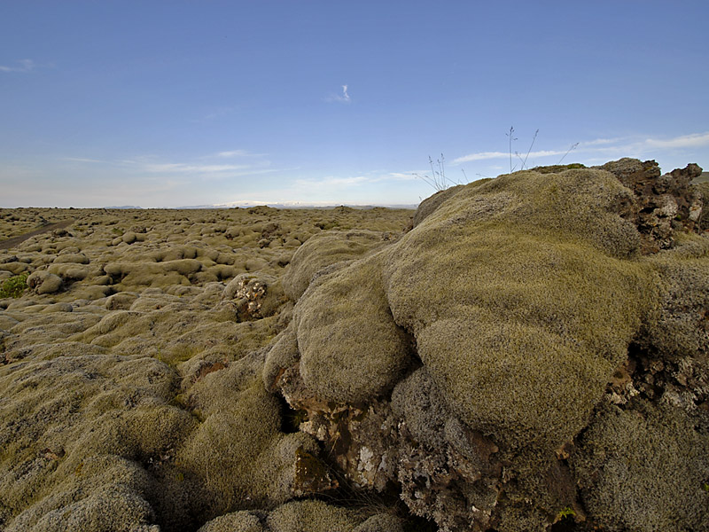 40 Myrdalssandur Gebiet