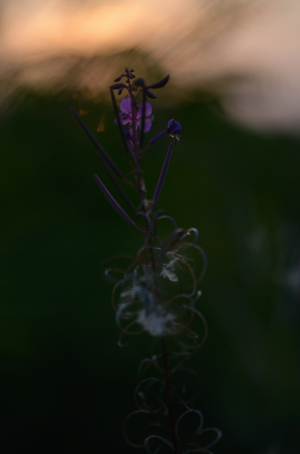 404900spätsommer