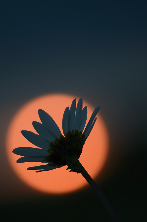 434900sonnenuntergang