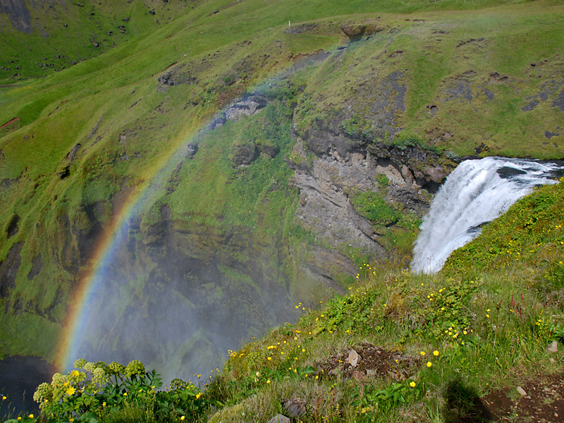 46 Skogafoss D80