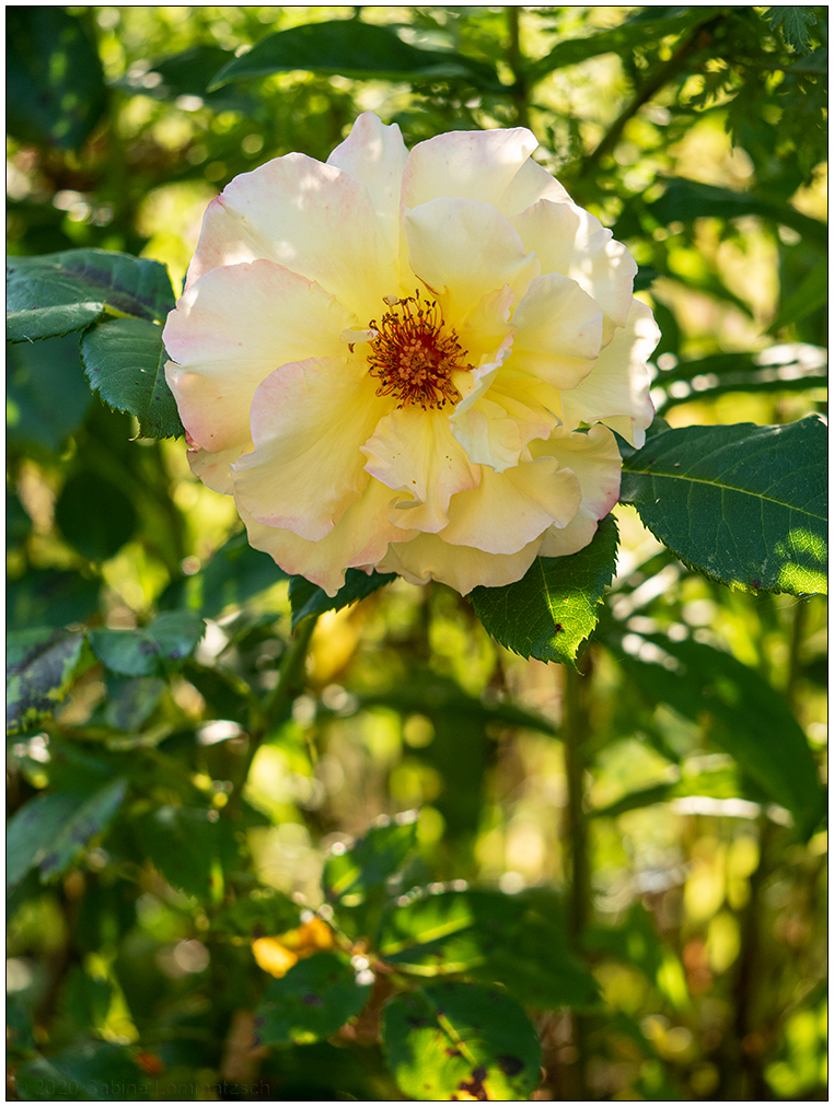 full