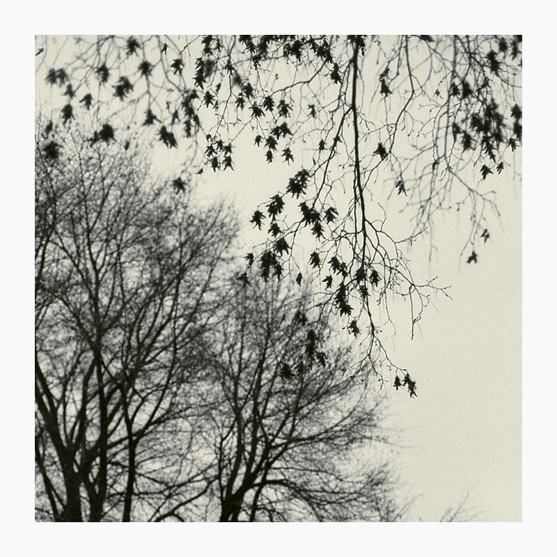 4800f32015kotrix400rzuneigung