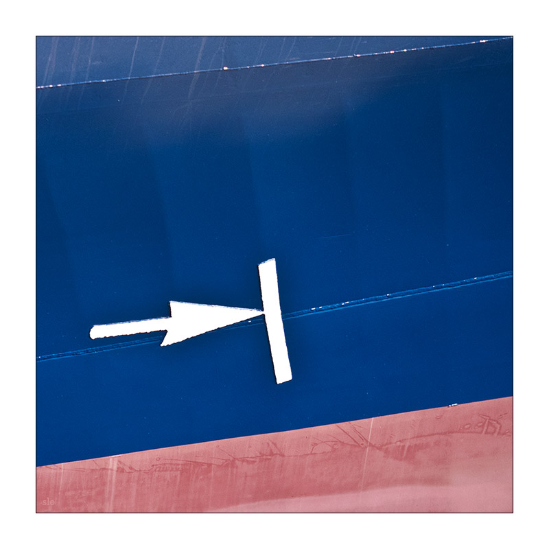 49/365