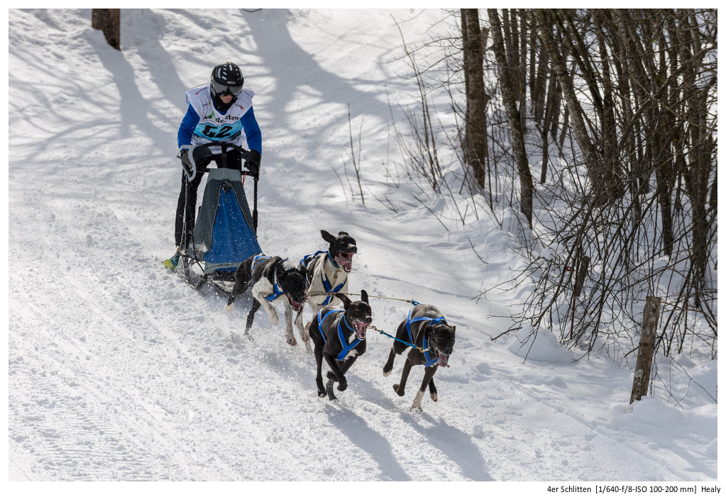 4er Schlitten 2