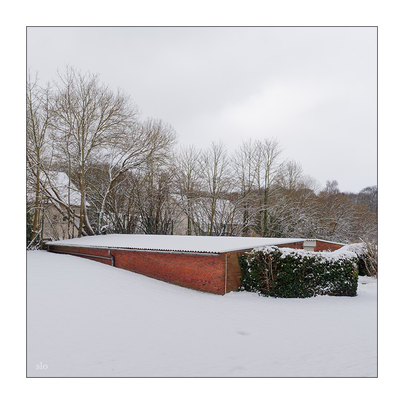 5/365 Birdy – Winter © 2026 Sabine Lommatzsch