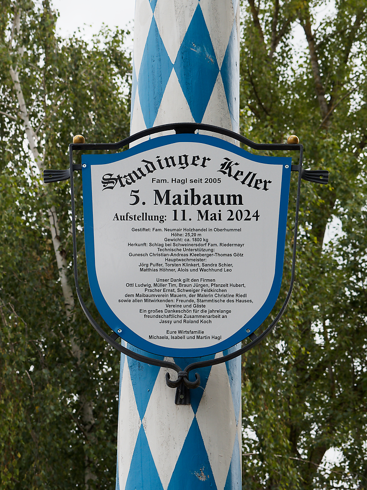 5. Maibaum.jpg