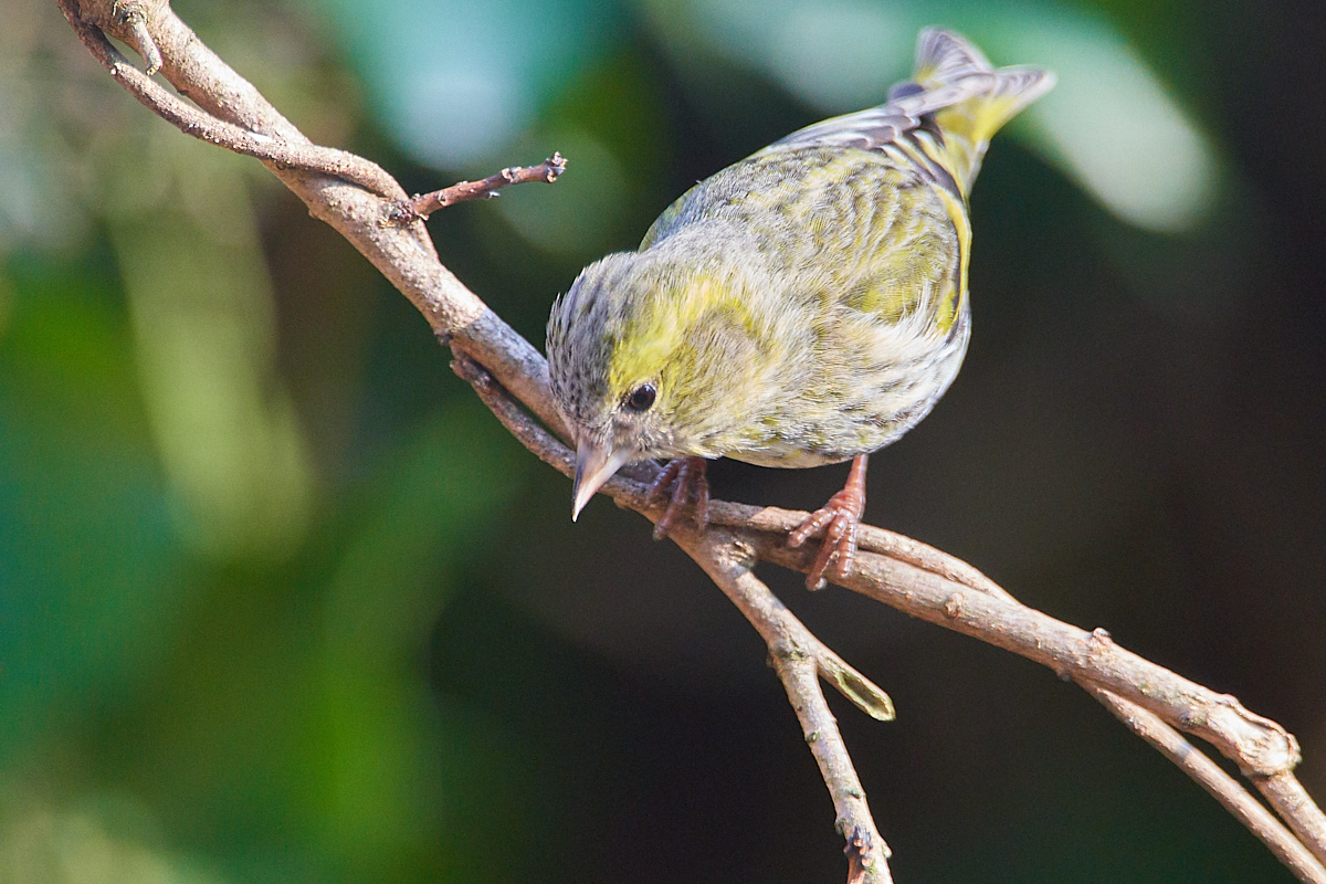 500 1169