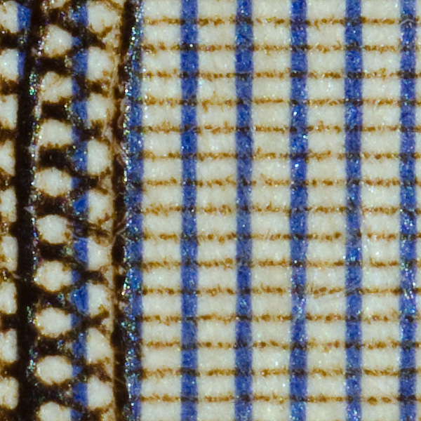 50crop1