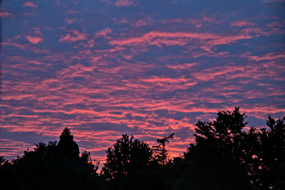 50D_0747.jpg