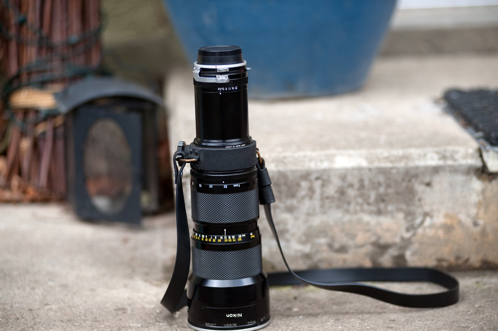 50DSC 4669