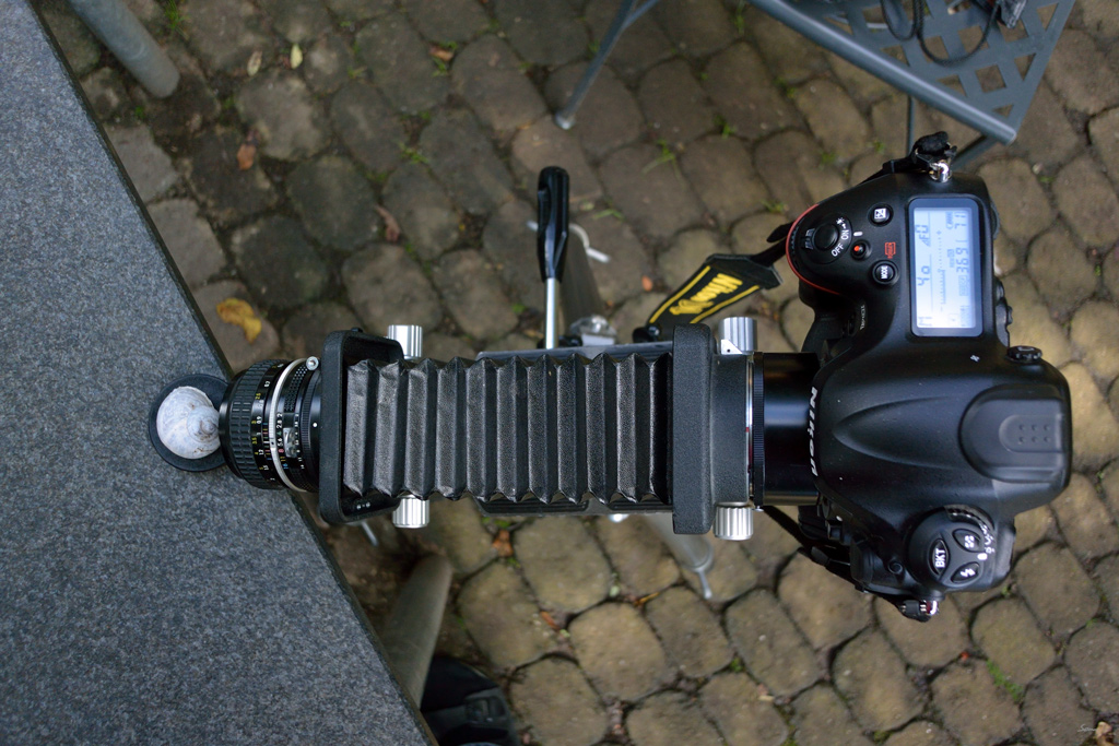 50mmDSC 5180