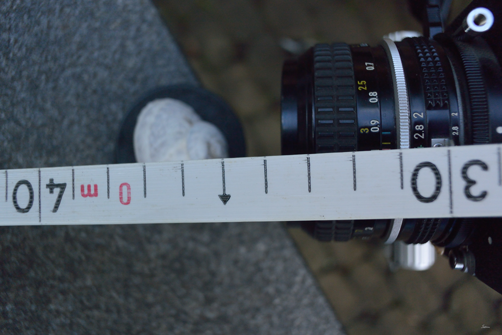 50mmDSC 5181