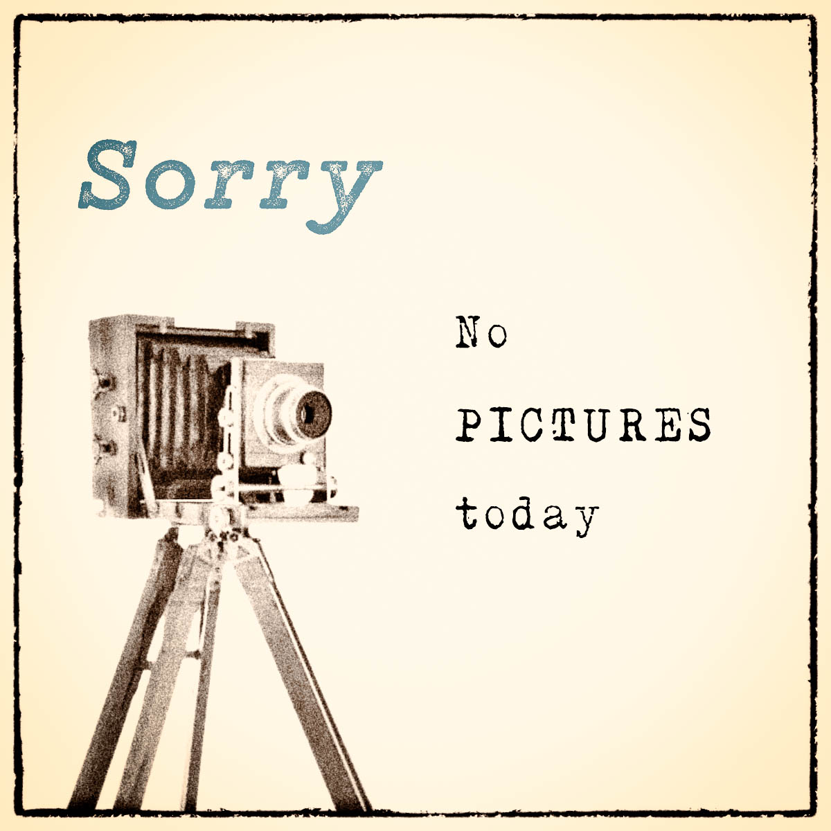51-365.jpg