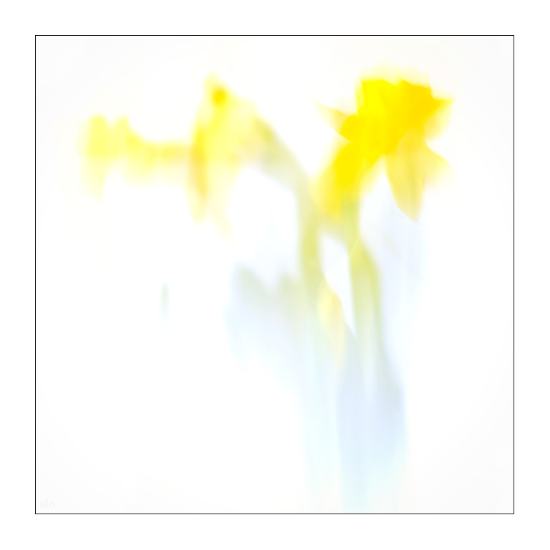 51/365