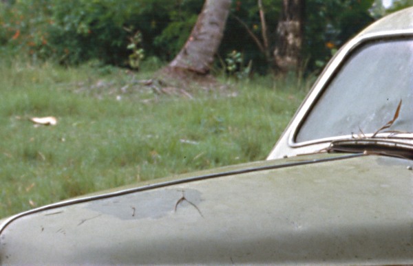 51b
