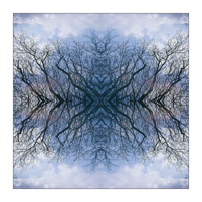 52/365