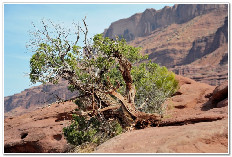#53 nahe Moab