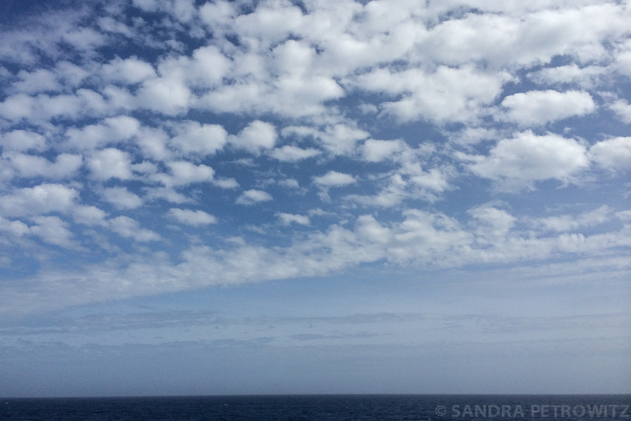 54 IMG 9506