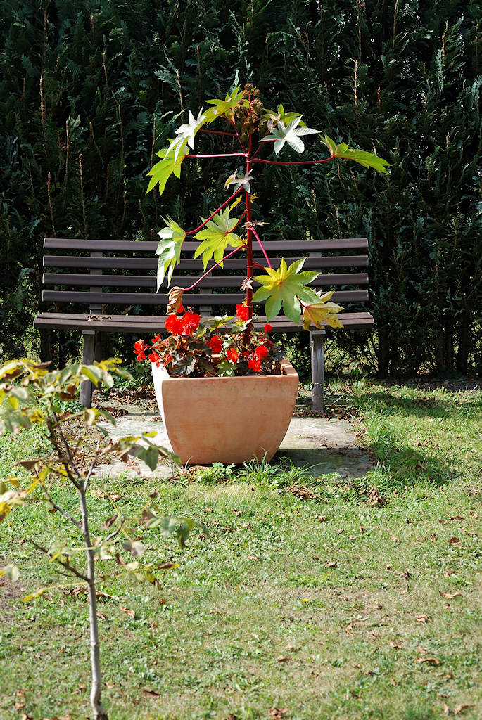 55-200/4-5.6G ED VR Nikkor: Ruhebank mit Blumenkübel
D80, ISO 160, WB Sonne, f/8, 1/200s, 55 mm
