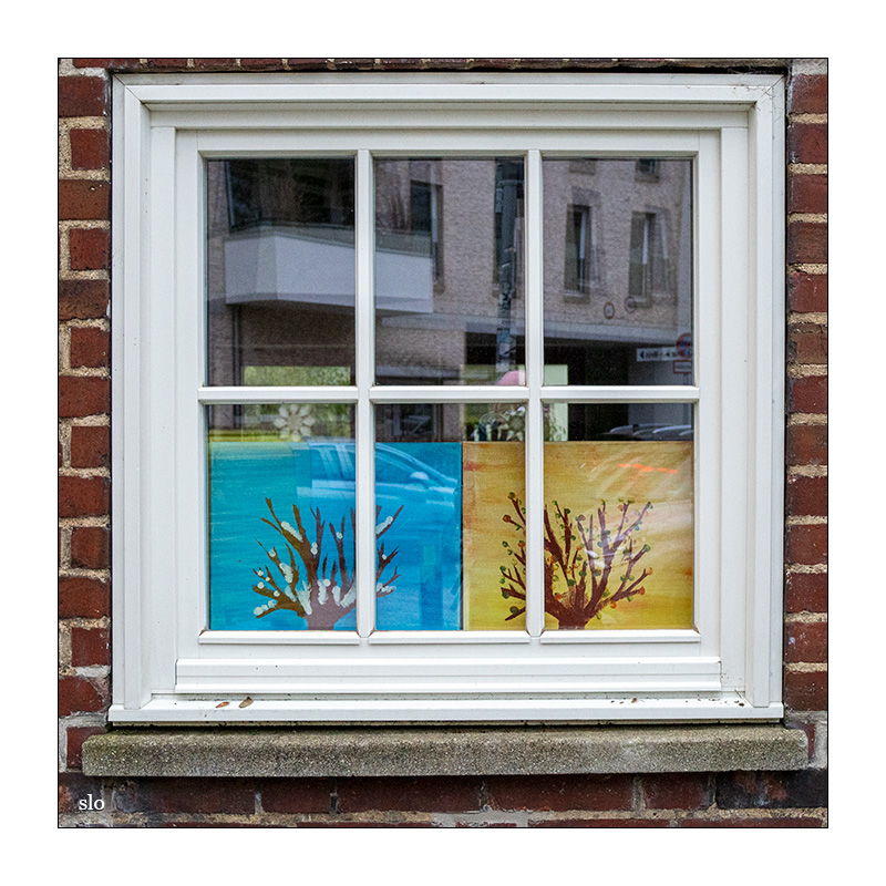 58/365 Element Of Crime – Draußen hinterm Fenster © 2026 Sabine Lommatzsch