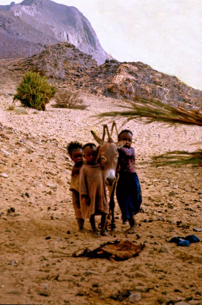 58 Afrika 1972