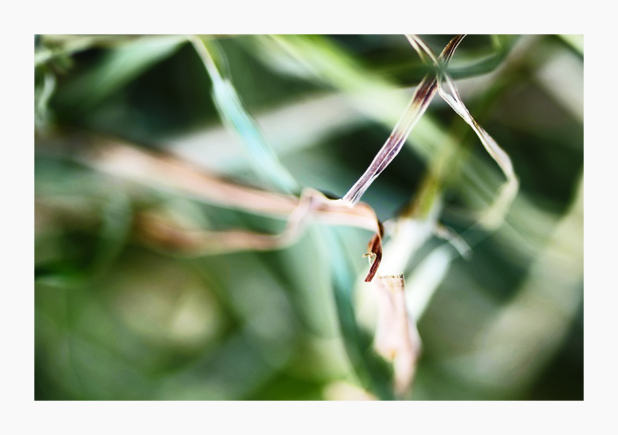 58r800gras070613