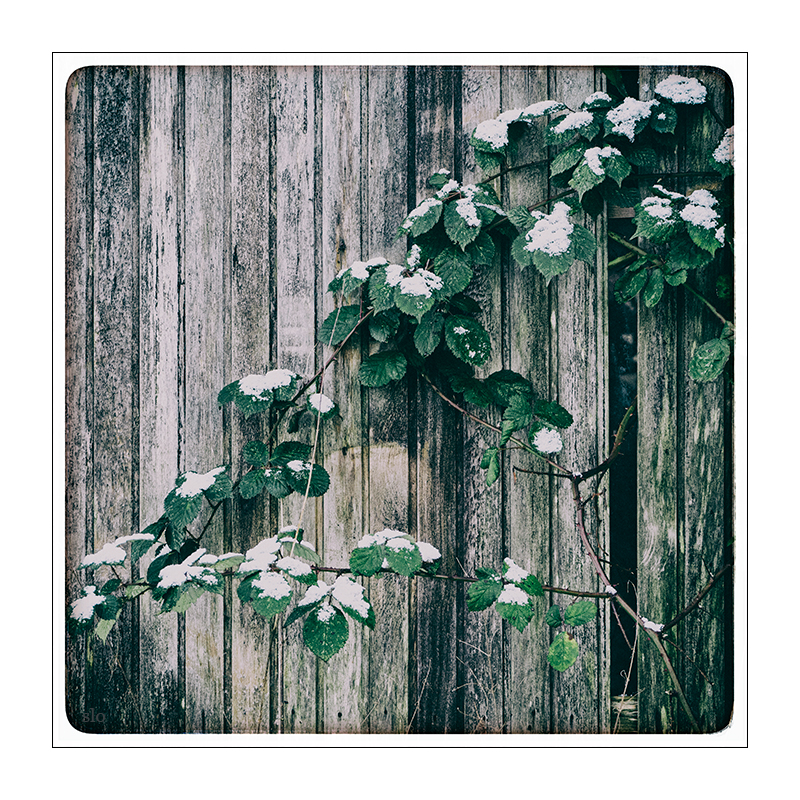 6/365
