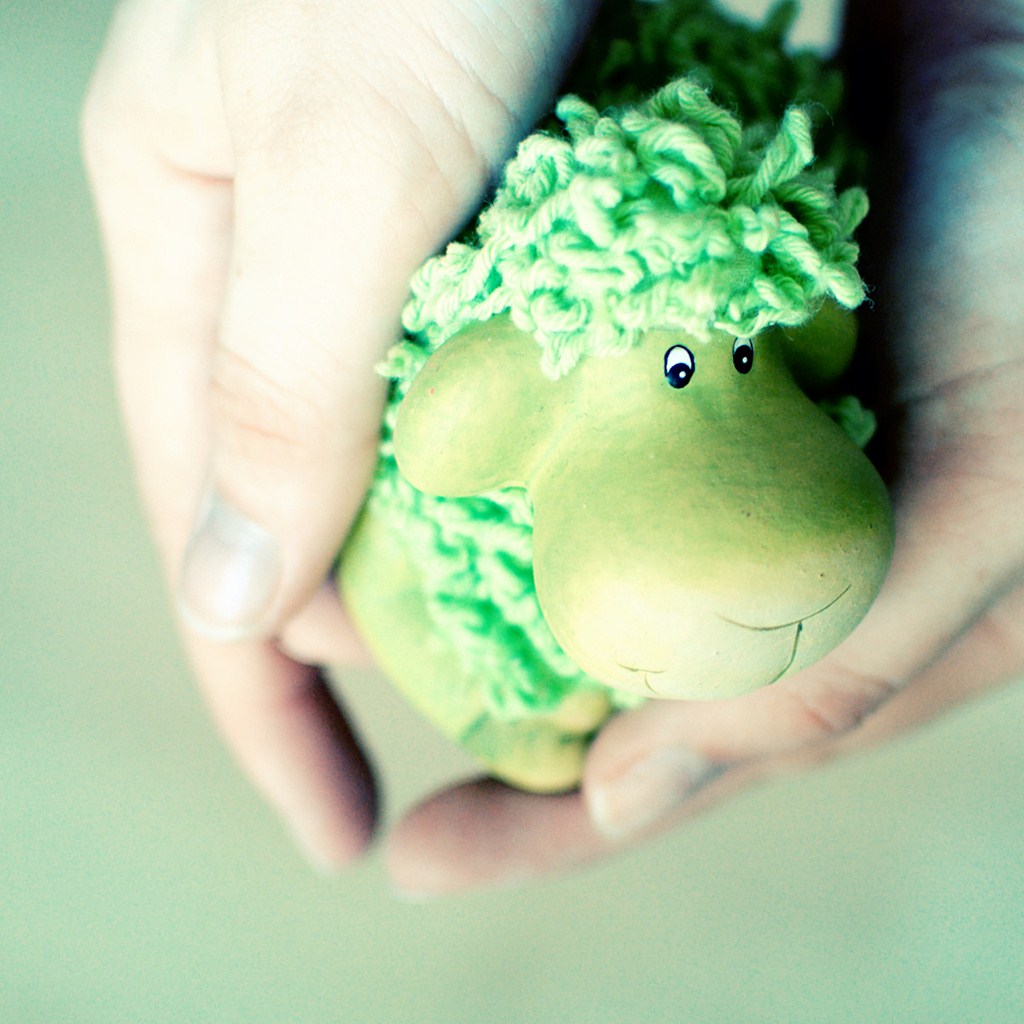 6/52 - the green sheep