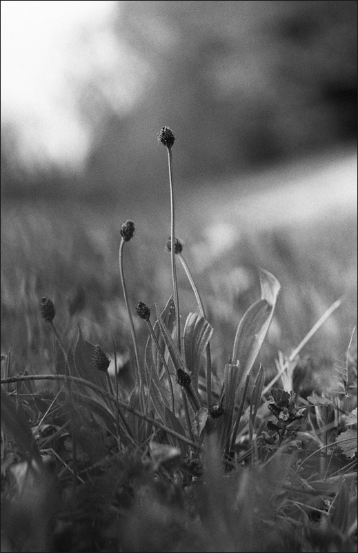 60800f4kodak400txswr