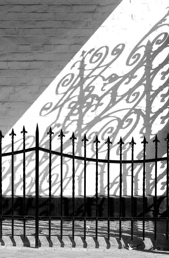 60lichtschattenswinfrarot